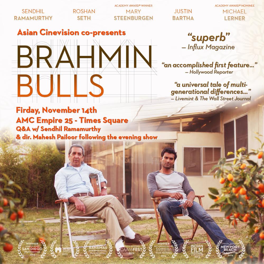 brahmin bulls unnamed